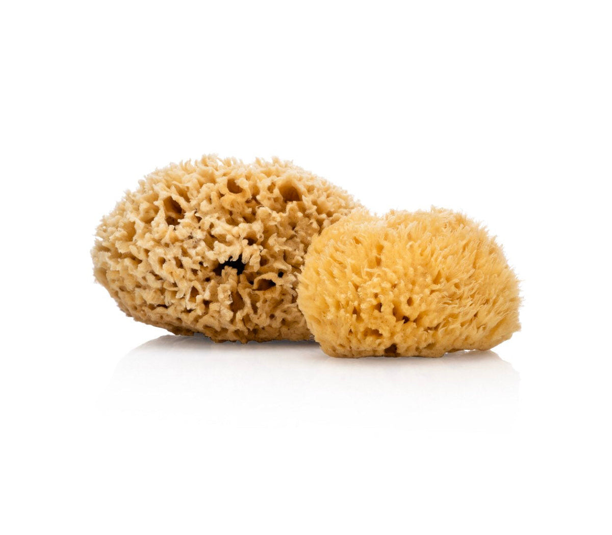 Natural Sea Sponge – Hand-Harvested Bath & Body Sponge | 4–5"