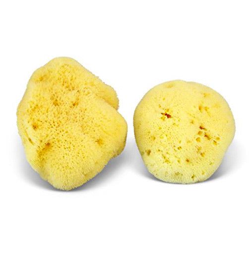Natural Sea Sponge – Hand-Harvested Bath & Body Sponge | 4–5"